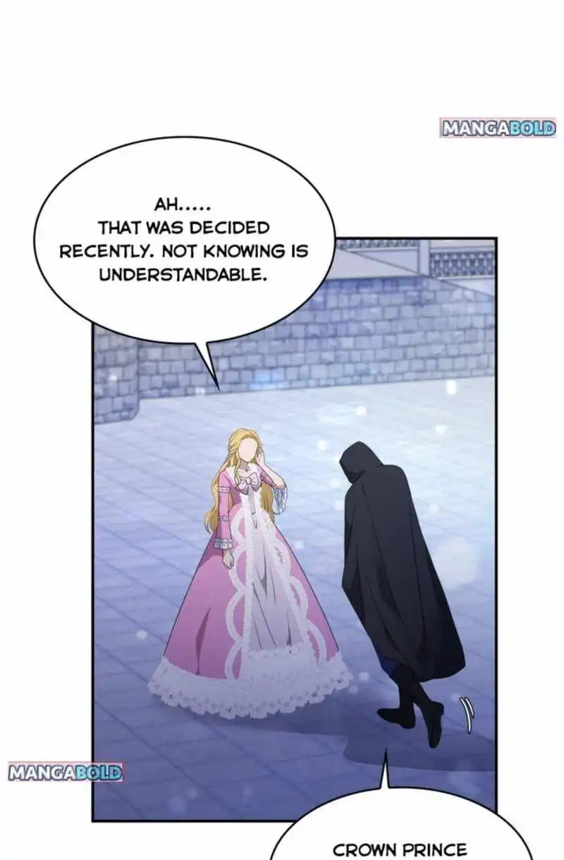 The Two-Faced Princess Chapter 27 20